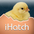 Icon of program: iHatch-Chickens