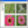 Icon of program: ImageCD Catalog