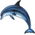 Icon of program: Dolphins 3D Screensaver a…