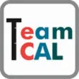 Icon of program: TeamCAL for sales rep
