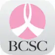 Icon of program: BCSC Risk Calculator