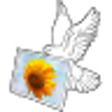 Icon of program: Air Photo Server (32-Bit)