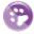 Icono de programa: Altova DiffDog Profession…