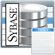 Icon of program: Sybase ASE Import Multipl…