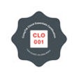 Icon of program: CLO-001 - CompTIA Cloud E…