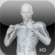Icon of program: 360 Anatomy for Artists H…