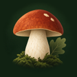 Icon of program: Gljivar  mushroom forecas…