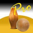 Icon of program: Pins Down Pro - Skittles …