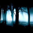 Icon of program: Slenders Woods