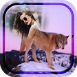 Icono de programa: Wolf Photo Frames