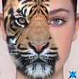 Icono de programa: Wildlife Animal Camera Ph…