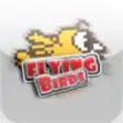 Icon of program: Flying Birds