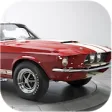Icon of program: Furious Ford Mustang Wall…