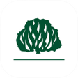 Icono de programa: IPB Oficial