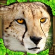 Icon of program: Cheetah Simulator