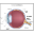 Icono de programa: Cataract Daily Checklist