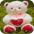 Icono de programa: Cute Teddy Bear wallpaper