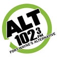 Icono de programa: ALT 102-3