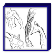 Icono de programa: Drawing Human Body