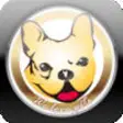 Icon of program: DollyPuppyCare