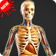 Icono de programa: Human Anatomy Bones and I…