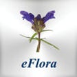 Icon of program: eFlora