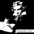 Icon of program: Beethoven Ear Trainer: So…