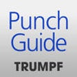 Icon of program: TruServices PunchGuide