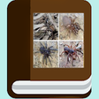 Icono de programa: Spider species ebook