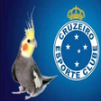 Icono de programa: Hino do Cruzeiro para Cal…