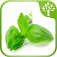 Icono de programa: Home Remedies - Natural C…