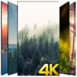 Icon of program: Pine Wallpaper HD 4K