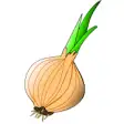 Icon of program: Onion