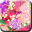 Icon of program: Secret of Happiness for[+…