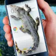 Icon of program: Crocodile in Phone Big Jo…