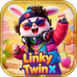 Icon of program: Linky TwinX