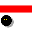 Icono de programa: Squash Ghosting