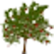 Icon of program: WinDirStat Portable