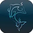Icon of program: EON Dolphin Delights