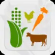Icon of program: Fresh Food Finder