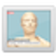 Vidi icon