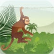 Icon of program: Jumper Monkey