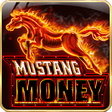 Icon of program: Players Paradise Casino S…