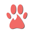 Pawdoption - Pet Adoption icon
