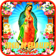 Icon of program: Virgen de Guadalupe