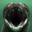 Icon of program: Titanoboa: Monster Snake …