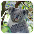 Icono de programa: Tile Puzzles  Australia