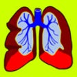 Icon of program: Lungs & Breathing: Lung D…