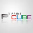 Icon of program: CubePrintJpn