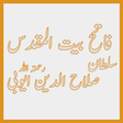 Icono de programa: Sultan Salahuddin Ayubi